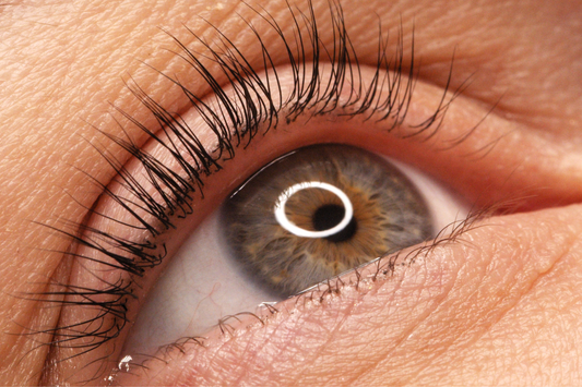 The Art of a Clean Lash: Beauty Through Precision