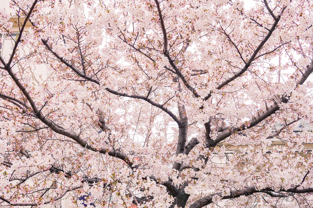 Understanding Eye Sensitivity: It’s Not Just “Allergies”